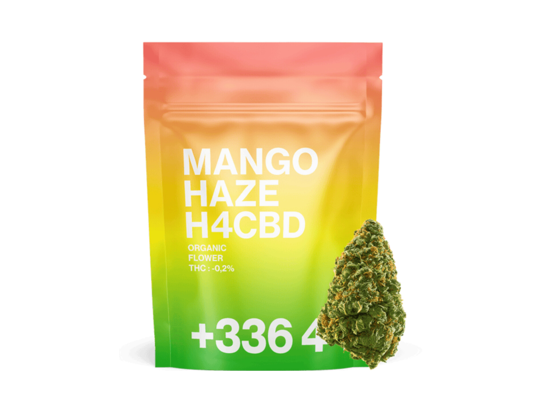 Mango Haze H4CBD : Une Fusion Exotique pour une Harmonie Totale (20gr) TealerLab 